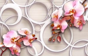 Фотообои Нежные 3D орхидеи и кольца
