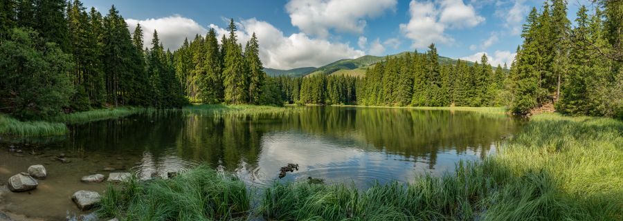 Фреска Лесное озеро