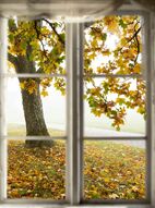 Фотообои Осень в окне