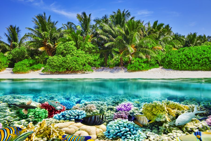 Картина на холсте Море, подводный мир, пляж с пальмами, арт hd0797001