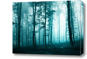 Картина Туман в утреннем лесу